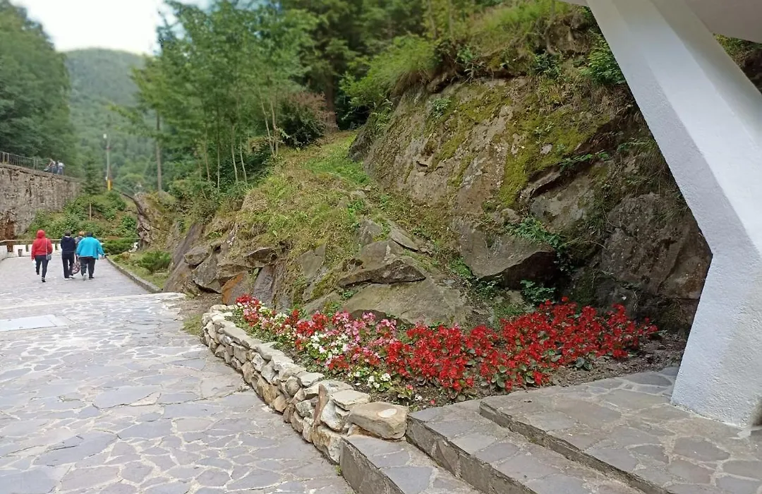 Montana Slănic-1