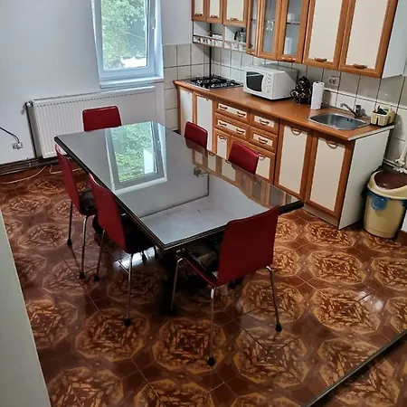 Apartament Nemira-2