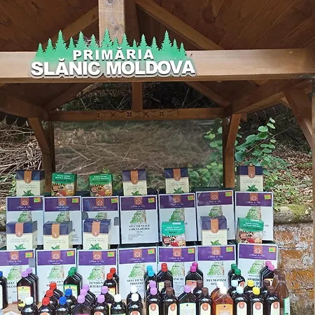 Montana Slănic-3