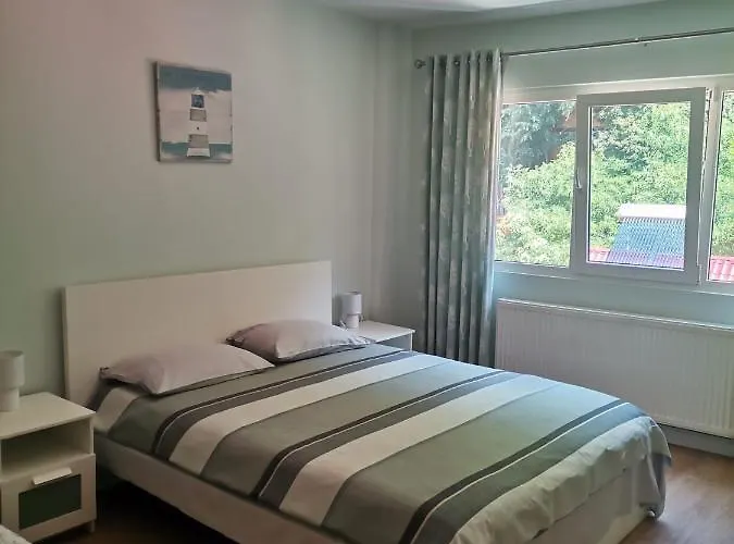 Montana Slănic Apartment
