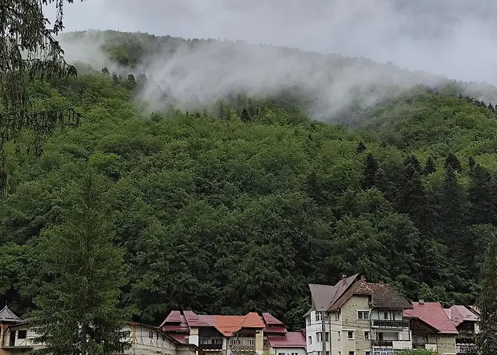 Apartamentul ALFA Slănic Moldova