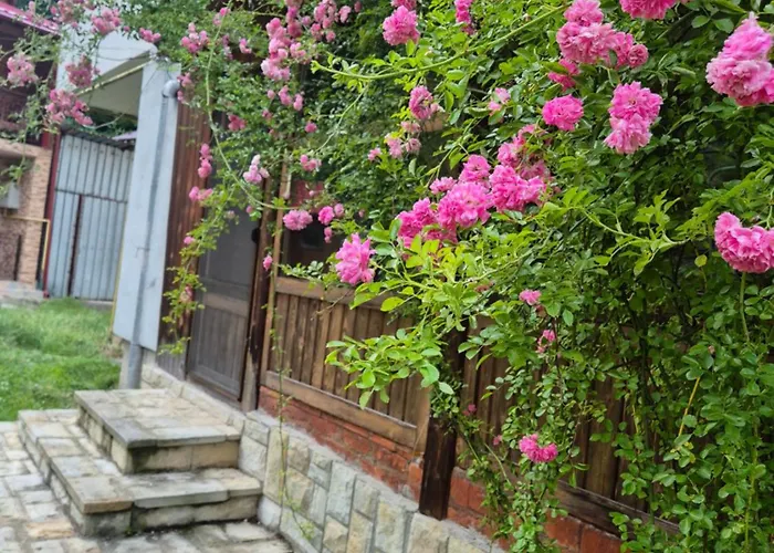 Apartament Slănic Moldova